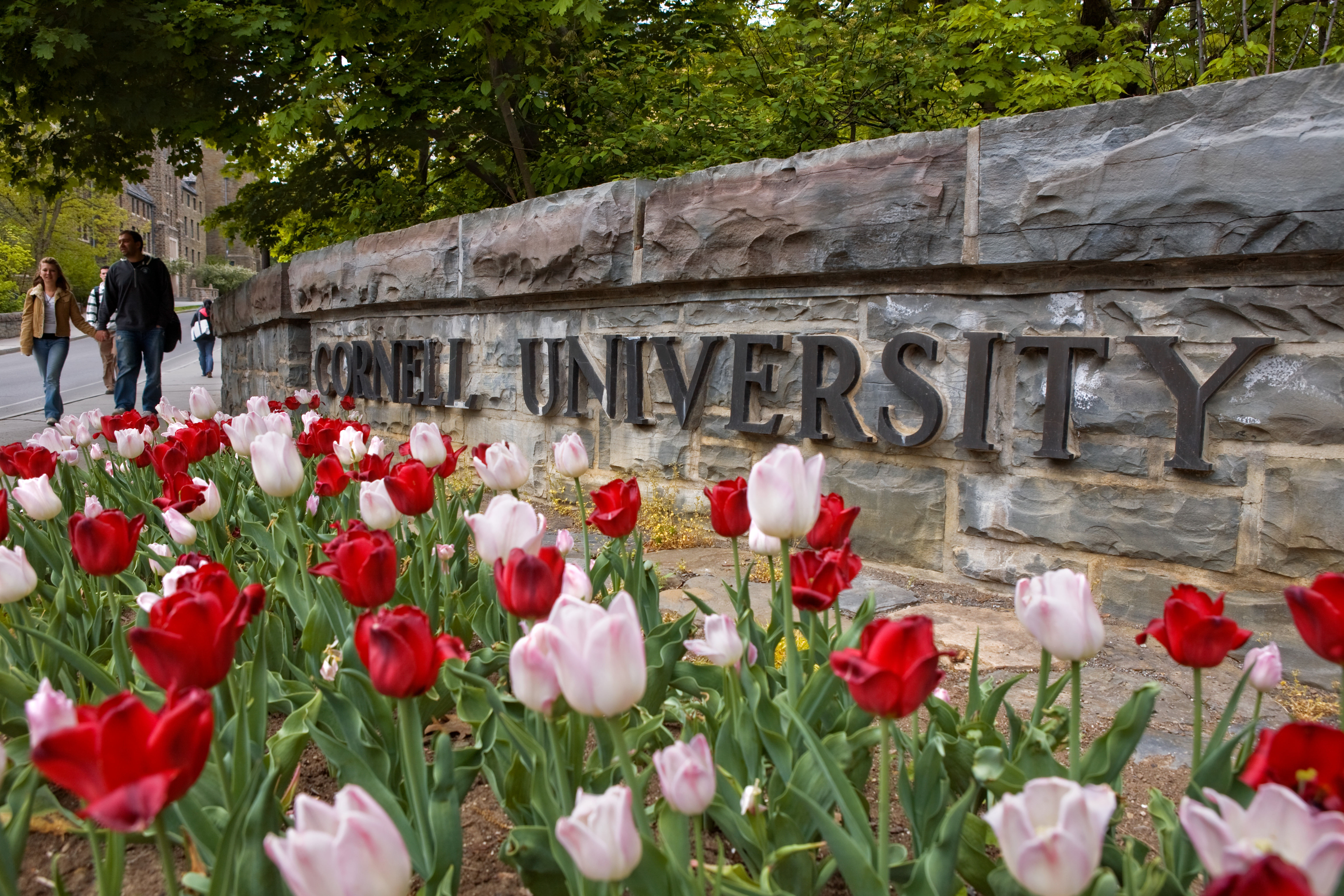 Cornell sign behind flowers